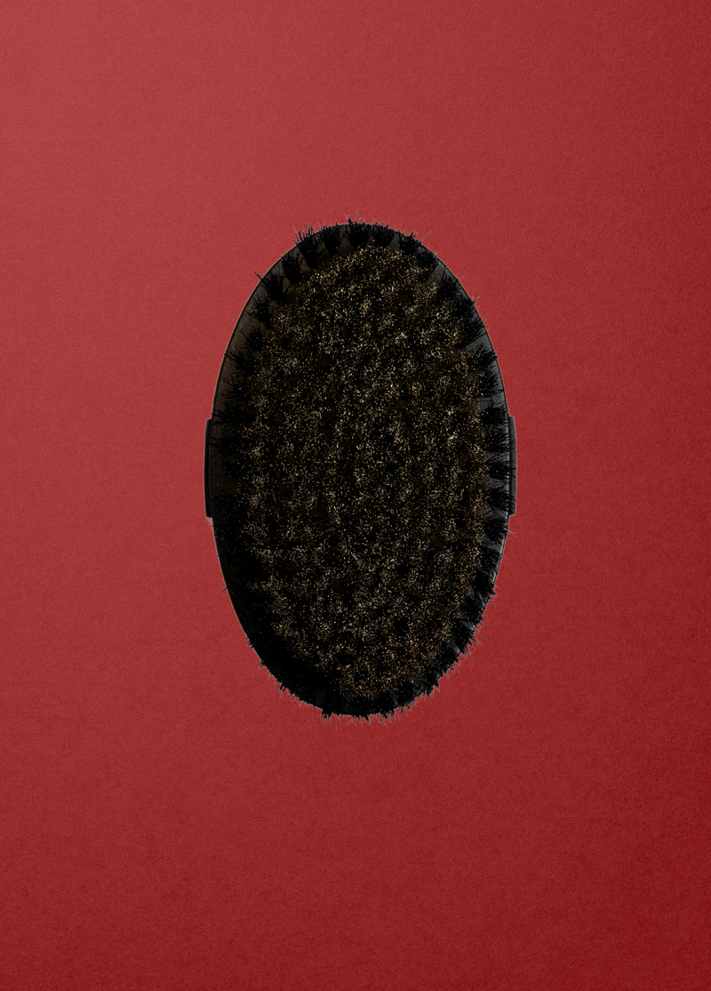 IONIC DRY BODY BRUSH